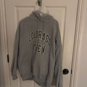 Gray Colorado Aspen Brandy Melville Hoodie